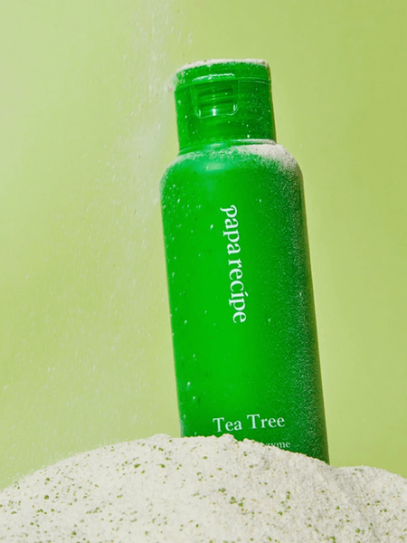 Себорегулирующая энзимная пудра с экстрактом чайного дерева Papa Recipe Tea Tree Control Powder Cleanser 50г 03093 фото