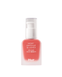 Жидкие румяна House of Hur - Moist Ampoule Blusher 20ml - Peach Coral 6806 фото